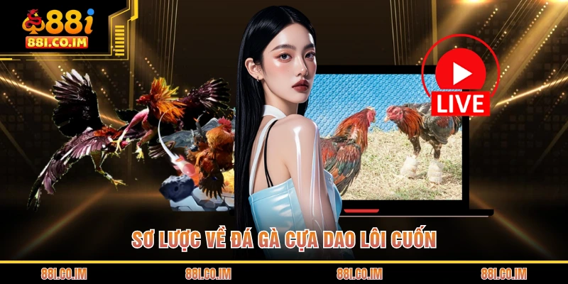 Đá Gà Cựa Dao - Trận Chiến Sinh Tử Đầy Đẫm Máu Và Kịch Tính 1 Sơ lược về đá gà cựa dao lôi cuốn