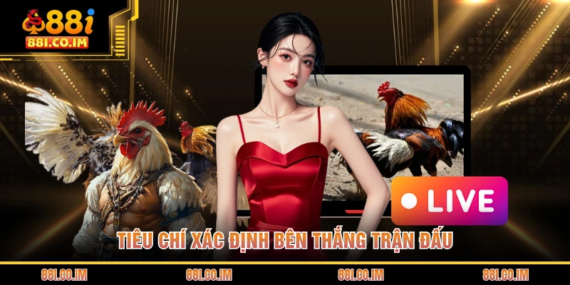 Đá Gà Cựa Dao - Trận Chiến Sinh Tử Đầy Đẫm Máu Và Kịch Tính 2 Tiêu chí xác định bên thắng trận đấu