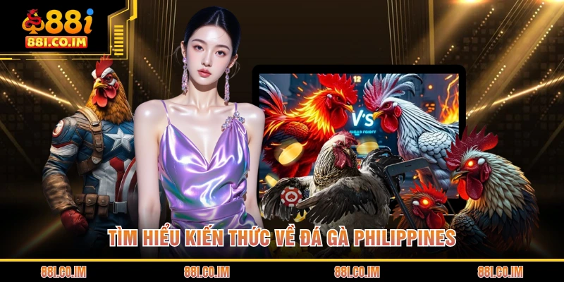 Đá Gà Philippines - Loại Hình Giải Trí Đầy Kịch Tính 1 Tìm hiểu kiến thức về đá gà Philippines